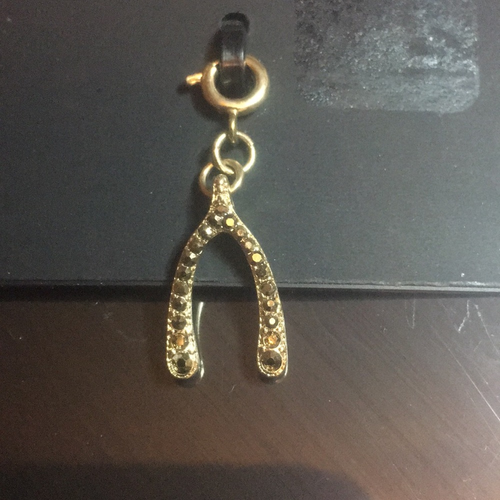 - Gold wish bone charm
